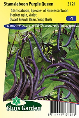 Sperzieboon Laag Purple Queen (Phaseolus) 250 zaden SL